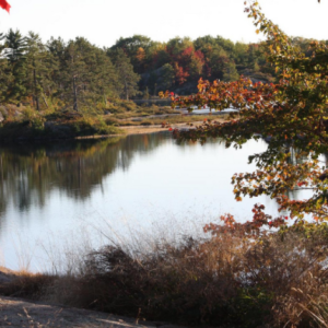 Kawartha Lakes